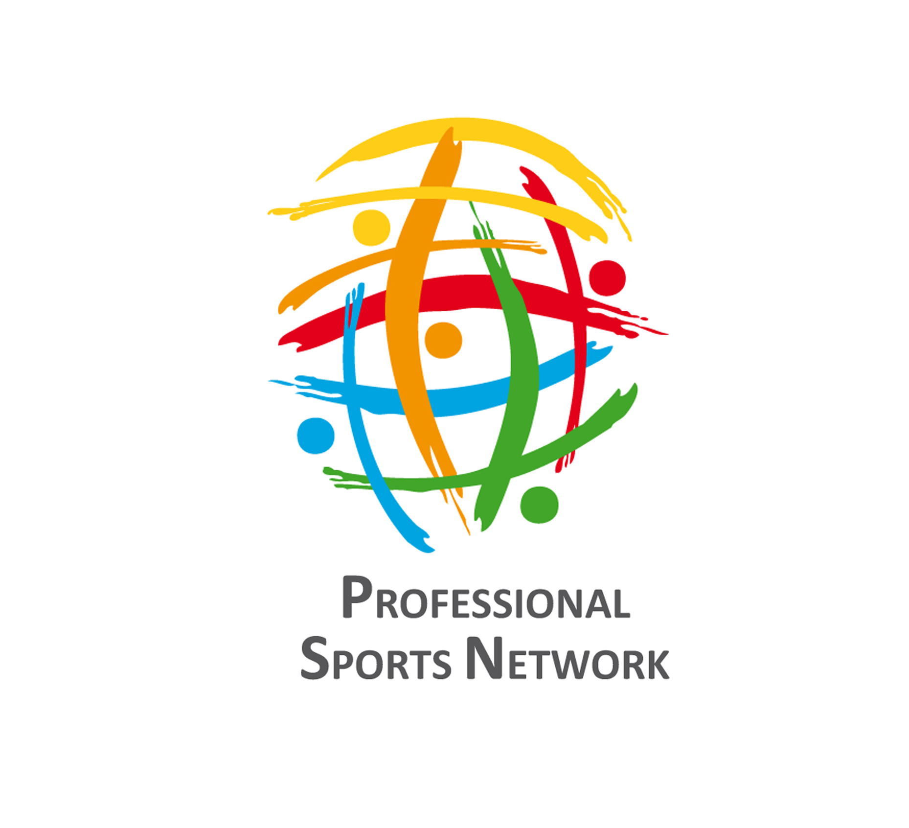 PSN logo display